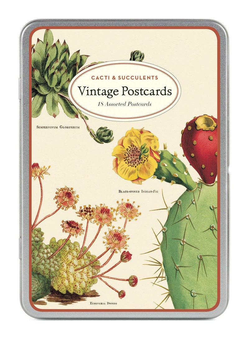 CAVANILLI & CO. Cavallini & Co. Cacti & Succulents Vintage Postcard Set - Image 1